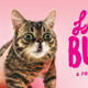 Illustration for article titled Universe Throws Us All a Bone With Announcement of Lil Bub Documentary
